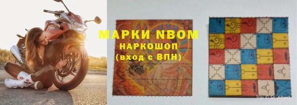 ПСИЛОЦИБИНОВЫЕ ГРИБЫ Арсеньев