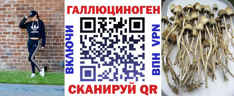 Галлюциногенные грибы мухоморы  закладка  гидра ссылка  Сухой Лог 